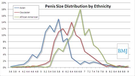 Average penis sizes by age and race – Penis Size Research